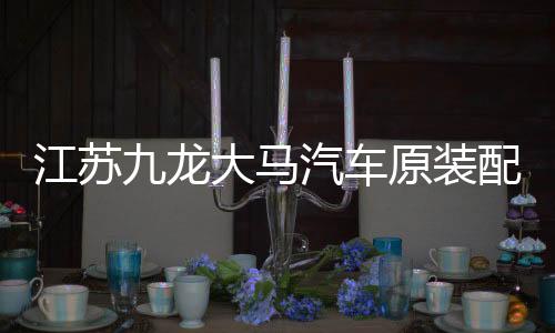 江苏九龙大马汽车原装配件海格大海狮滑门内拉手内开把手内扣手
