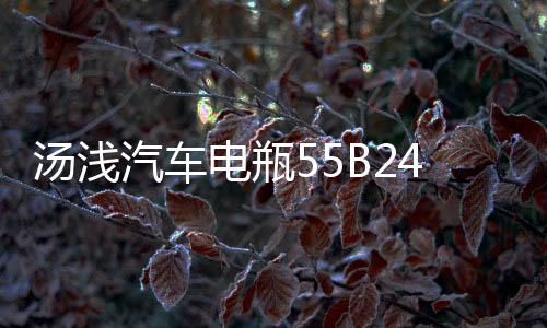 汤浅汽车电瓶55B24L天语雨燕骐达颐达骊威轩逸逍客利亚纳骏逸电池