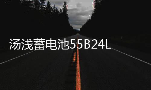 汤浅蓄电池55B24LS雅阁CRV思域凌派思铂睿杰德缤智汽车蓄电瓶45AH