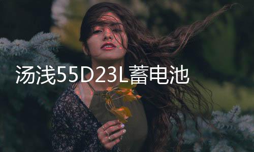 汤浅55D23L蓄电池适配现代朗动雅阁帝豪卡罗拉天籁花冠汽车蓄电瓶