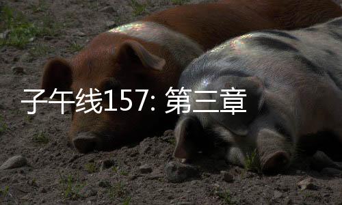 子午线157: 第三章下载