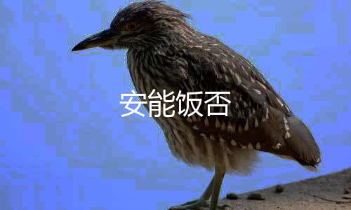 安能饭否