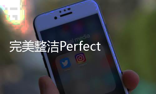 完美整洁Perfect Tidy安卓版