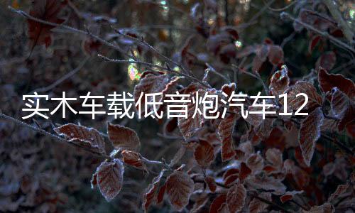 实木车载低音炮汽车12v24v无线蓝牙音箱改装220v家用台式电脑音响