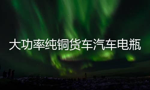 大功率纯铜货车汽车电瓶充电器12V24V伏充满自动停全智能通用型水