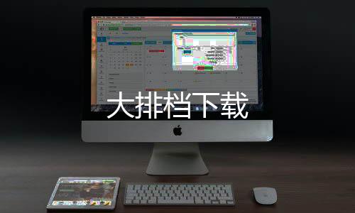 大排档下载