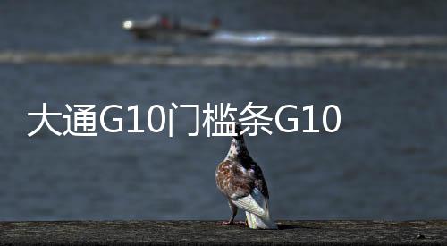 大通G10门槛条G10迎宾踏板上汽大通G10后护板大通G10改装装饰配件