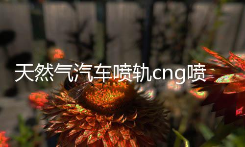 天然气汽车喷轨cng喷轨油改气燃气改装配件高速静音共轨头喷气嘴