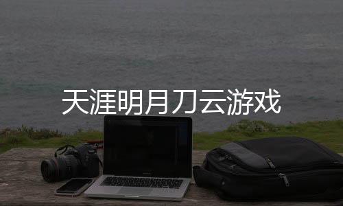 天涯明月刀云游戏