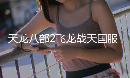 天龙八部2飞龙战天国服