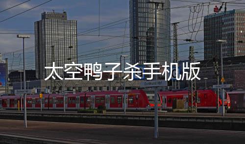 太空鸭子杀手机版
