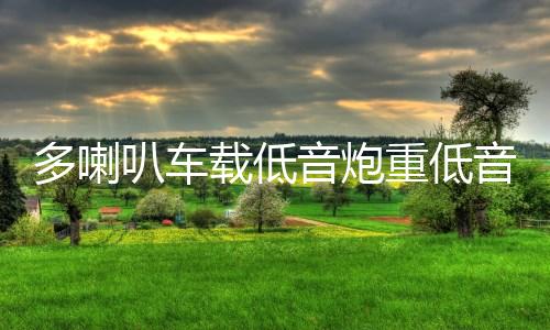 多喇叭车载低音炮重低音12V汽车音响24V货车低音炮家用音箱220V