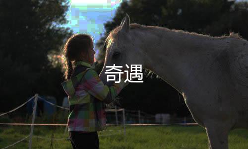 奇遇