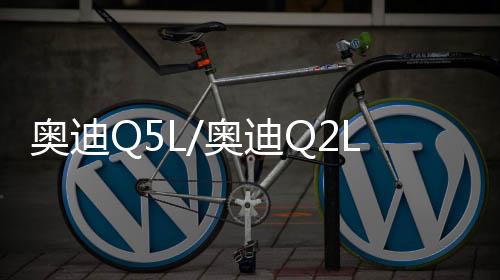 奥迪Q5L/奥迪Q2L汽车后备箱改装专用隔板装饰隔物板收纳配件储物