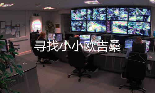 寻找小小欧吉桑