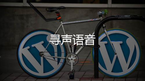 寻声语音