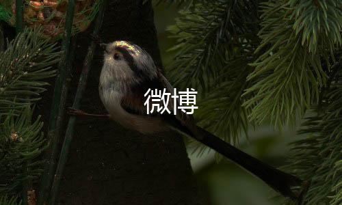 微博