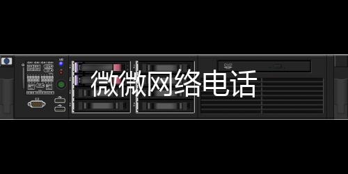 微微网络电话
