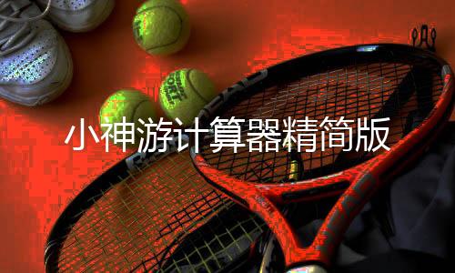 小神游计算器精简版