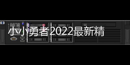 小小勇者2022最新精简版