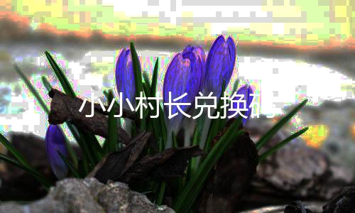 小小村长兑换码