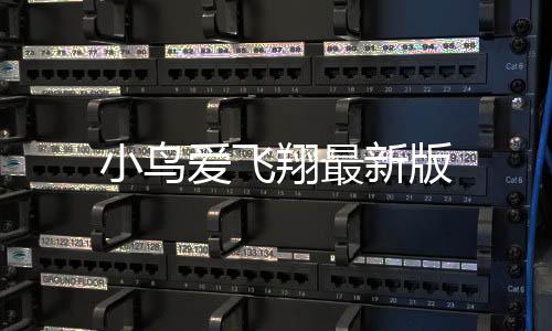 小鸟爱飞翔最新版