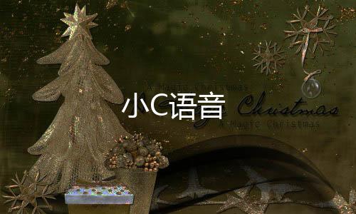 小C语音