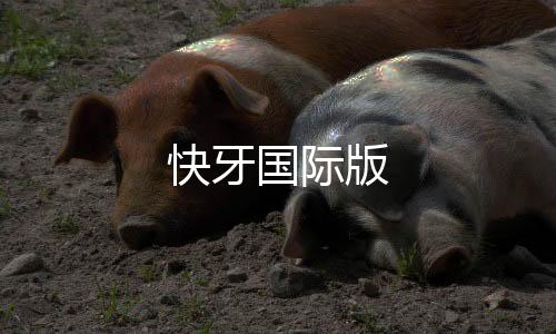 快牙国际版