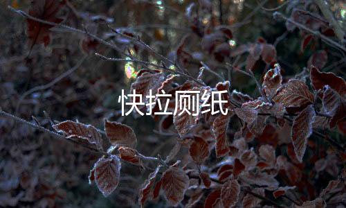 快拉厕纸