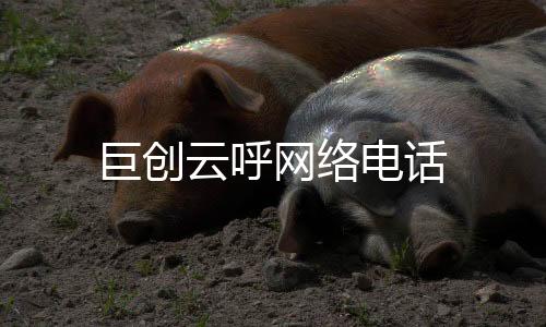巨创云呼网络电话