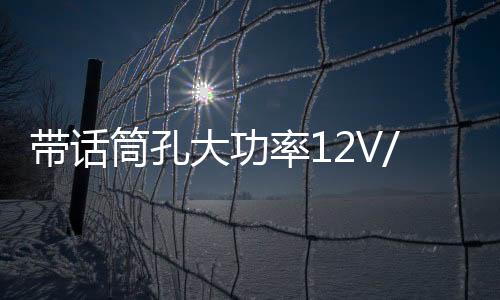 带话筒孔大功率12V/220V车车载蓝牙低音炮功放板汽车音响功放板