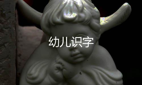 幼儿识字