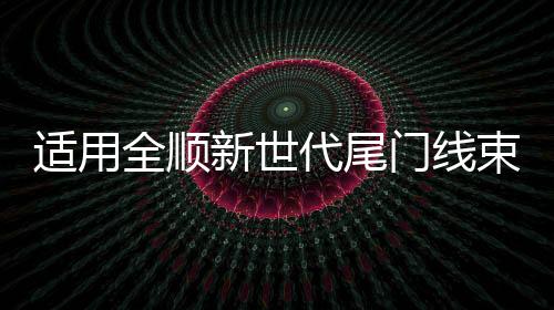 适用全顺新世代尾门线束右后门线全顺新世代V348左后门线线束配件