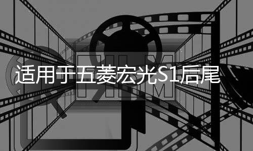 适用于五菱宏光S1后尾灯总成S3后组合灯刹车灯尊享款倒车灯