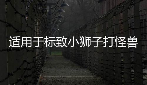 适用于标致小狮子打怪兽车尾标志贴301 308 408 508 打怪兽车贴