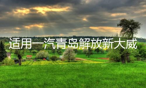 适用一汽青岛解放新大威大灯总成汽车重卡货车2010款前大灯前照灯