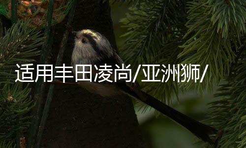 适用丰田凌尚/亚洲狮/汽车后备箱改装专用隔板装饰隔物板收纳配件