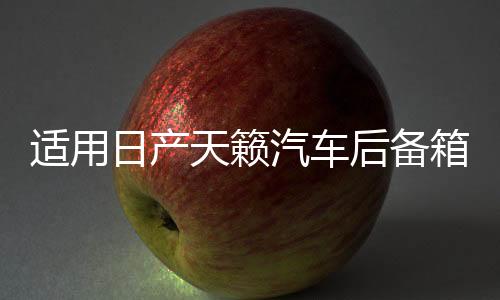 适用日产天籁汽车后备箱改装专用隔板装饰隔物板收纳配件储物尾箱