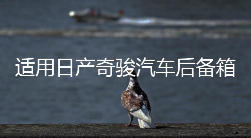 适用日产奇骏汽车后备箱改装专用隔板装饰隔物板收纳配件储物尾箱