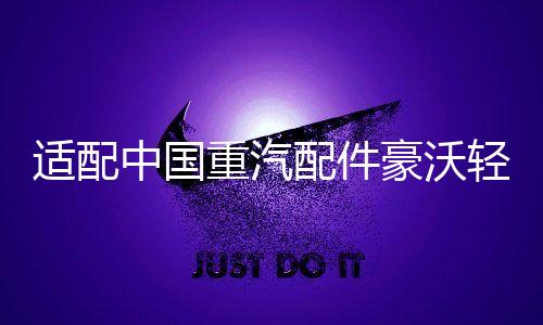 适配中国重汽配件豪沃轻卡悍将统帅玻璃升降器开关门控锁车窗开关