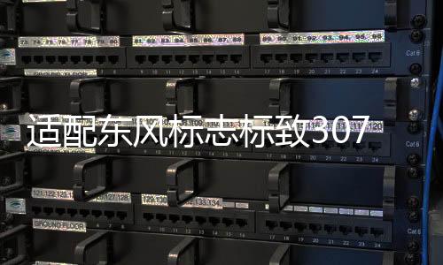 适配东风标志标致307凯旋世嘉正极线 汽车电瓶蓄电池正级电缆配件