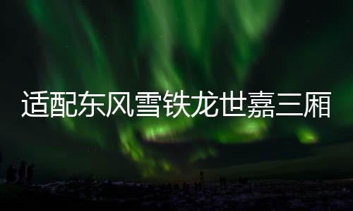 适配东风雪铁龙世嘉三厢 新款老款 高位刹车灯第三制动灯汽车配件