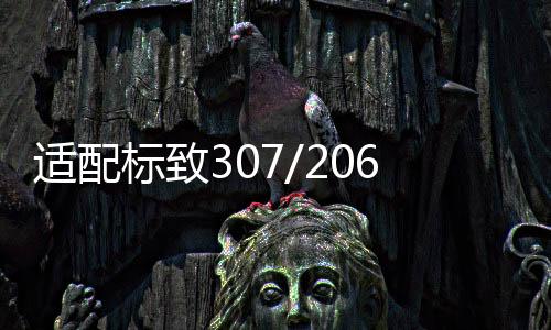 适配标致307/206/408/雪铁龙C4L世嘉原装电瓶骆驼60AH汽车蓄电池