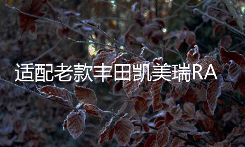 适配老款丰田凯美瑞RAV4皇冠锐志汉兰达原装电瓶瓦尔塔汽车蓄电池