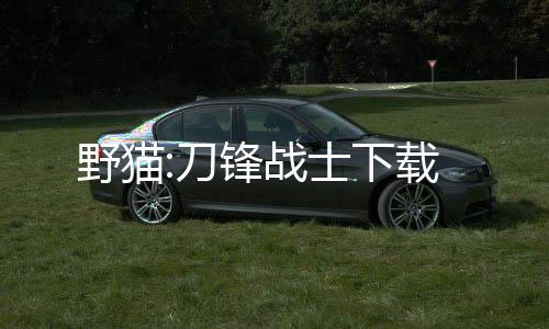野猫:刀锋战士下载