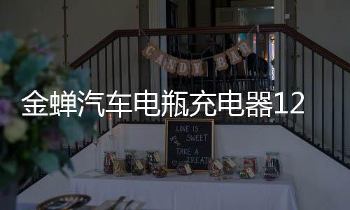金蝉汽车电瓶充电器12v24v大功率专用200a全自动智能小车通用型60