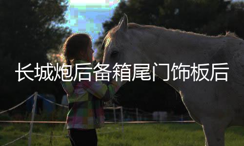 长城炮后备箱尾门饰板后尾箱装饰护板商用越野版皮卡改装专用配件