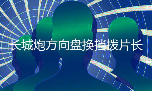 长城炮方向盘换挡拨片长城炮皮卡内饰装饰金属改装配件多色可选