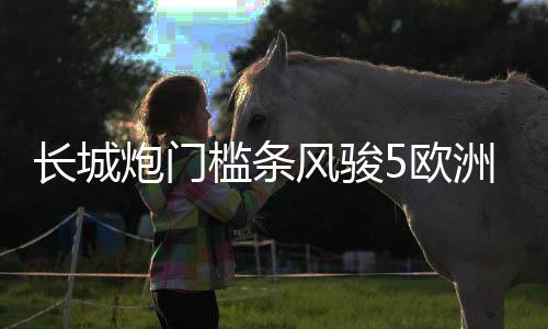 长城炮门槛条风骏5欧洲版改装配件6迎宾踏板7车内饰装饰汽车用品