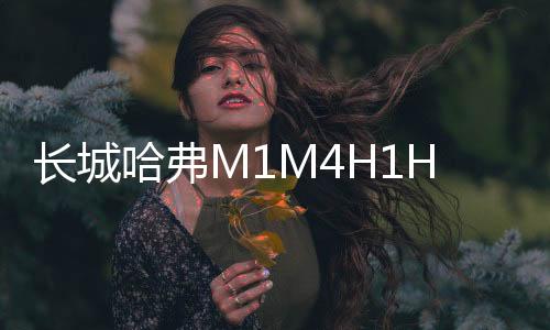 长城哈弗M1M4H1H2H5H6H7汽车同轴喇叭音响全频6.5寸改装重低音炮